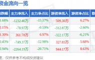 股票行情快报：华英农业（002321）2月26日主力资金净卖出1232.46万元
