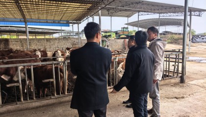 浦发银行南宁分行奋力书写“普惠金融”大文章