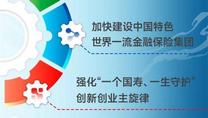 推进“333战略”中国人寿加快建设中国特色世界一流金融保险集团