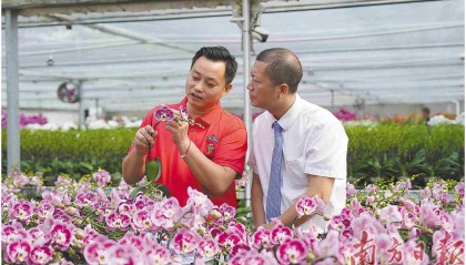 金融活水助力实体经济枝繁叶茂