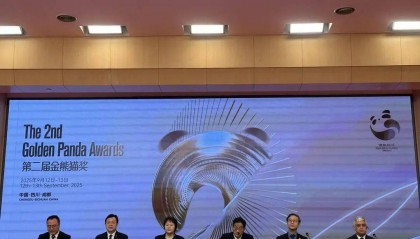 大视野！大通道！这届“金熊猫”更加国际化