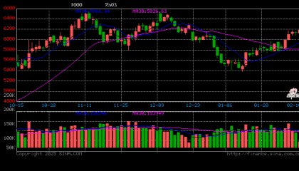 光大期货金融类日报2.12