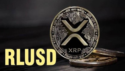 usd是什么货币(usd是什么货币汇率人民币)