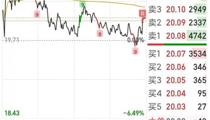 步步高股票(步步高股票可以买吗)