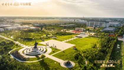 地脉深处的回响——古井贡酒的传奇之旅