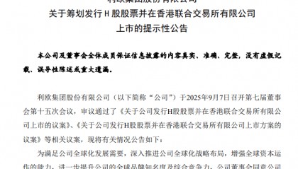 利欧股份，筹划H股上市