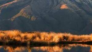 招商信诺自在人生（悦享版）养老年金保险 B 款（分红型）怎么样？条款+案例