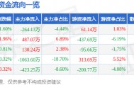 股票行情快报：广百股份（002187）5月11日主力资金净卖出264.13万元