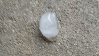 最新确认：今天清晨开始，影响青岛！将出现明显转折→