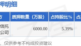 彩虹股份（600707）股东咸阳金融控股集团有限公司质押6000万股，占总股本1.67%