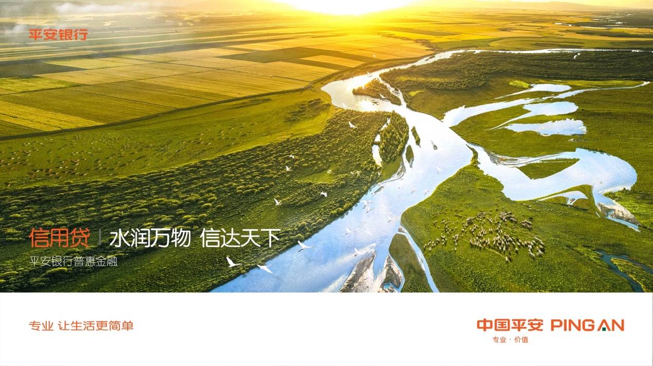 百行千业兴 普惠家国情 ——平安银行普惠金融产品全面升级