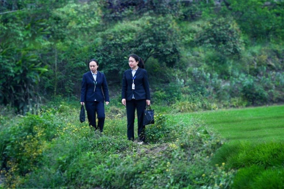 邮储“智融惠畅”工程助力西部金融中心建设