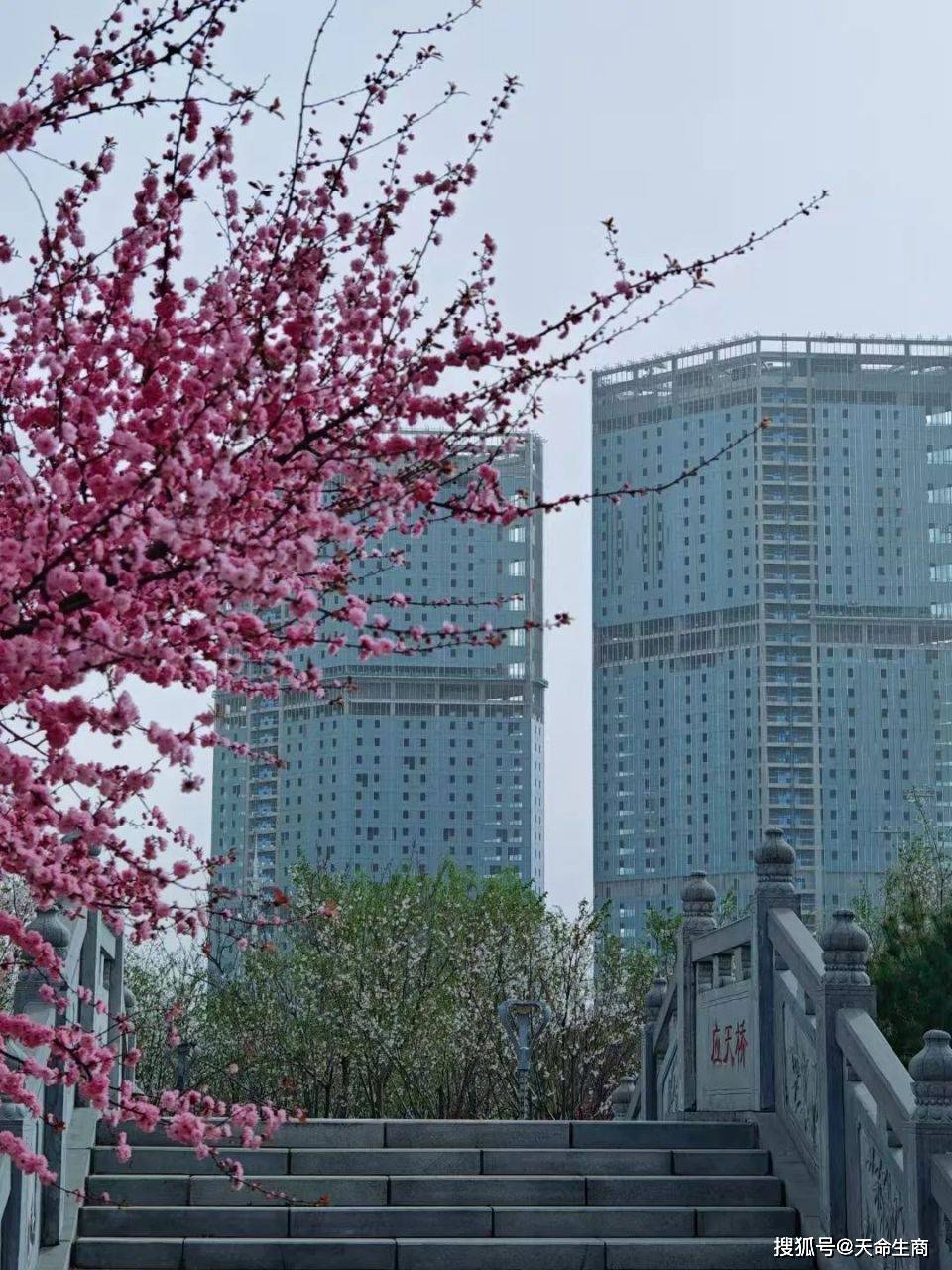 商丘市金融中心工程进展 3月28日