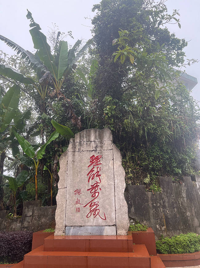 荐读｜斯雄《英雄化作山脉》