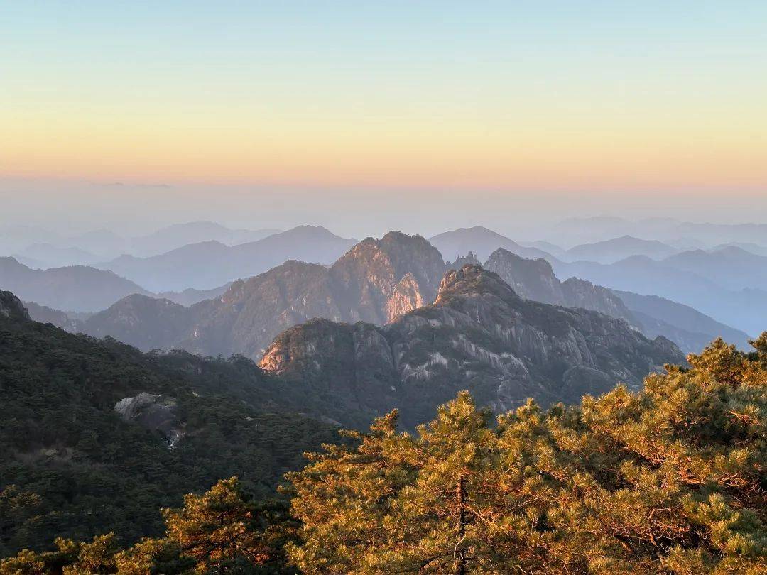 山脉隆起如何影响生物多样性变化