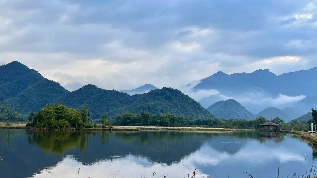 山脉隆起如何影响生物多样性变化