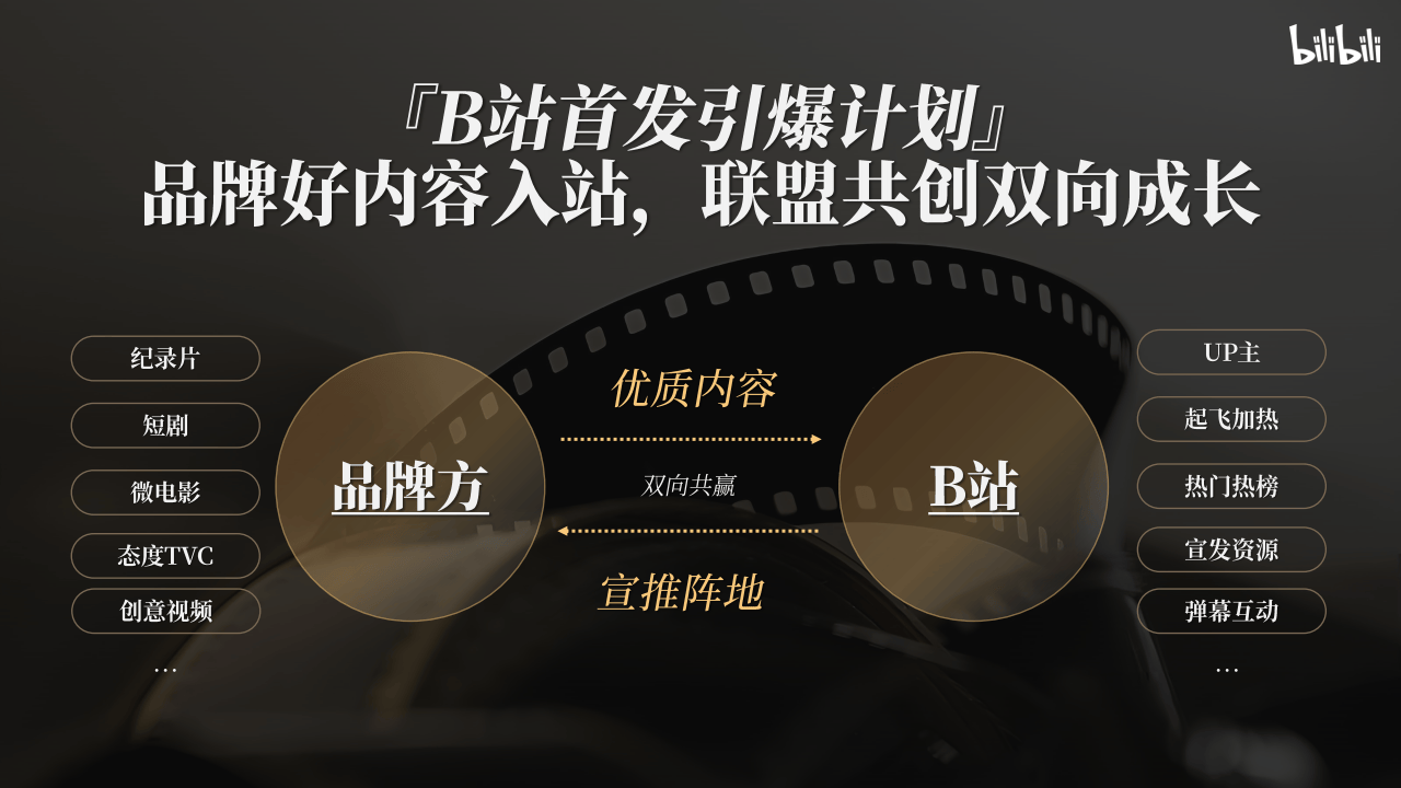 哔哩哔哩运营：2025哔哩哔哩好内容首发引爆计划营销解决方案