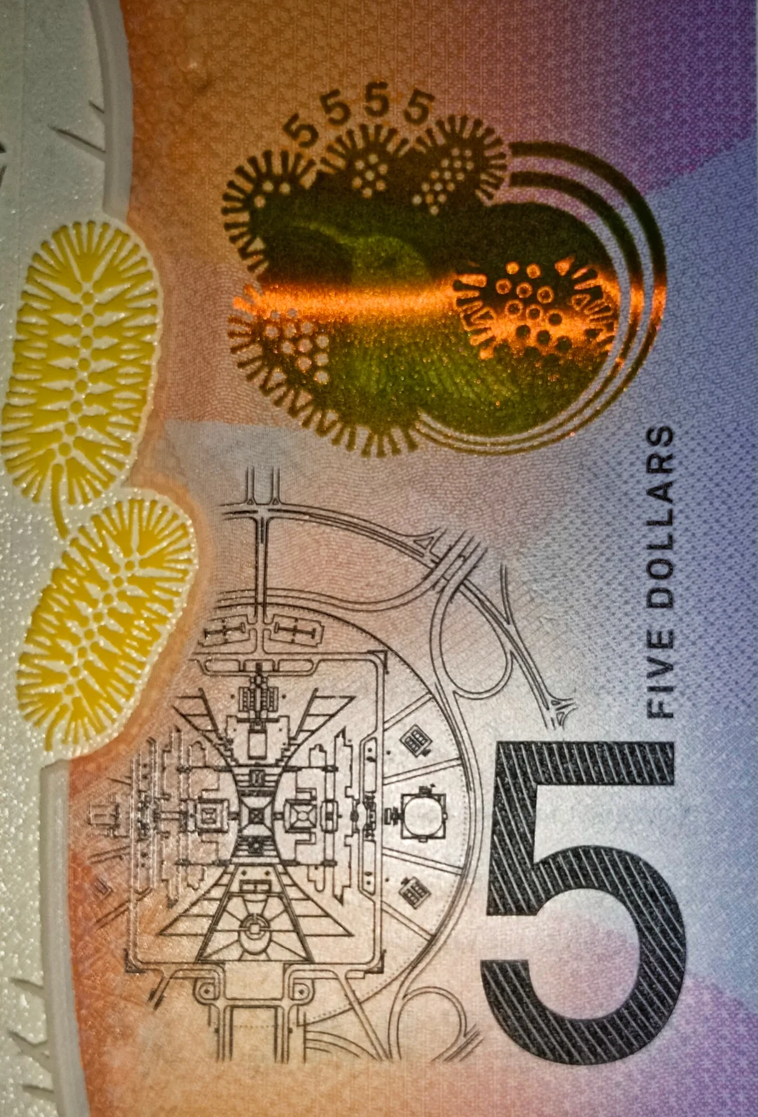 gbp是什么货币(gbp是什么货币兑换人民币)