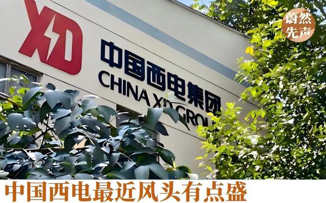 中国西电股票(中国西电股票分析)